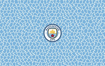 博乐体育动态-于帕梅卡诺国家队能踢欧洲杯吗