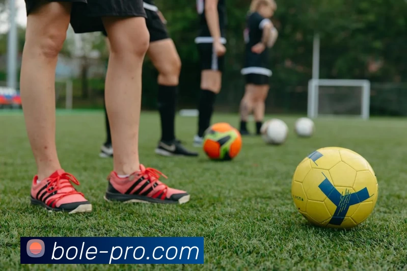 专业体育平台生态图